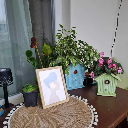 Apartment Specious Modern Sofia